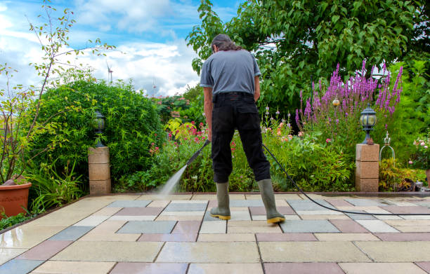 Best Sidewalk and Walkway Cleaning  in Morenci, MI